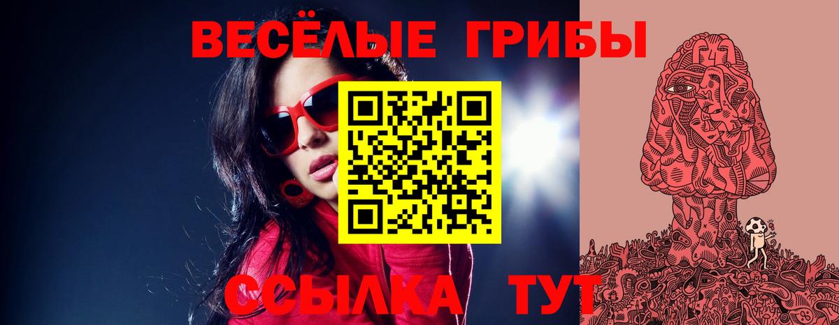 Псилоцибиновые грибы прущие грибы  Вход с VPN  Муравленко 