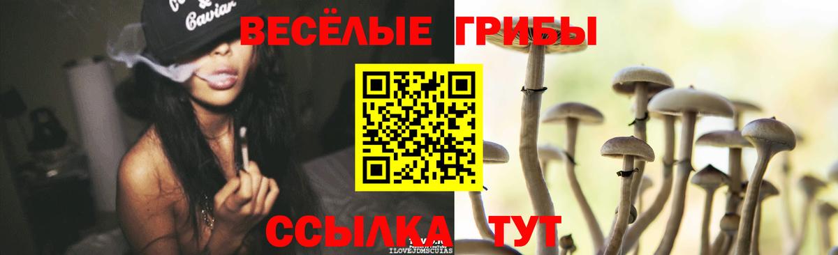 Галлюциногенные грибы мухоморы Муравленко